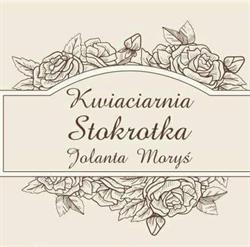 Stokrotka. Kwiaciarnia