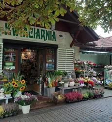 Niezapominajka. Kwiaciarnia. Karkula K.