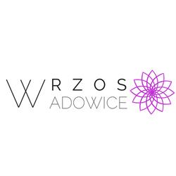 Wrzos. Kwiaciarnia. Bębenek J.
