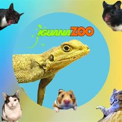 Iguanazoo Julita Lewandowska Specjalistyczny Sklep Zoologiczny