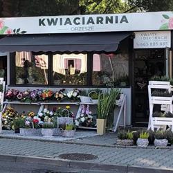 Dyrbusz Ilona. Kwiaciarnia