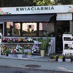 Dyrbusz Ilona. Kwiaciarnia