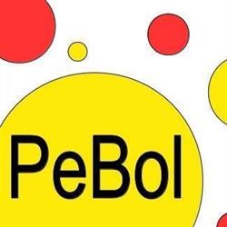 P.W. PeBol sp.j.