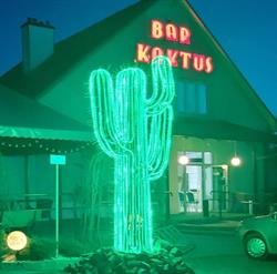 Kaktus. Bar
