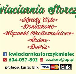 Storczyk. Kwiaciarnia. Sztorc U.