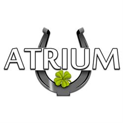 Atrium Fitness Sport. Szkółka Jazdy Konnej, Fitness