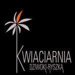 Ryszka-Dziwoki K. Kwiaciarnia
