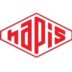 Hapis