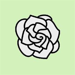 Gardenia. Kwiaciarnia. Durek M.