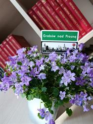 Biblioteka Publiczna