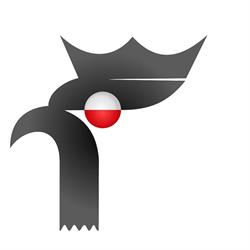 Kombatant. Dom Pomocy Społecznej