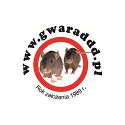Dezynsekcja Deratyzacja Dezynfekcja Radosław Gwara