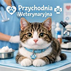 Pyliński Andrzej. Lecznica Specjalistyczna Dla Koni i Małych Zwierząt