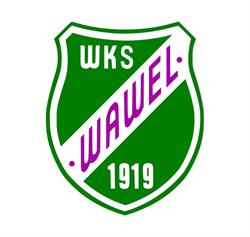 Wawel. Wojskowy Klub Sportowy