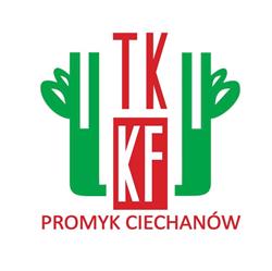 Promyk. Miejskie Ognisko Tkkf