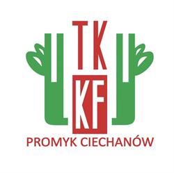 Promyk. Miejskie Ognisko Tkkf