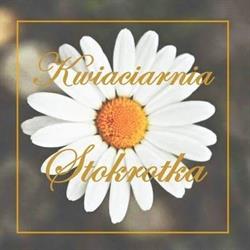 Stokrotka. Kwiaciarnia. Sendal D.