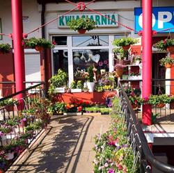 Kwiaciarnia