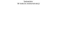 Kaczmarek Electric. Sp. Z O.o. Hurtownia Elektryczna