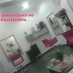 Kameleon. Salon fryzjerski