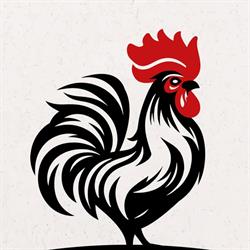 Restauracja POD KOGUTEM - Tomasz Nieradka
