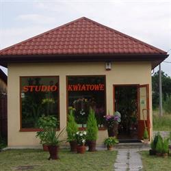 Studio Kwiatowe. Belka-Przybysz B.