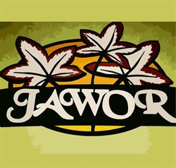 Jawor-Tobruk. Hurtownia kwiatów