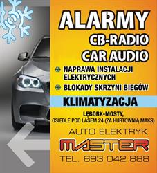 Master. Auto Elektronika. Puzdrowski m.