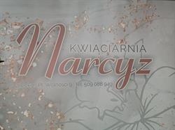 Narcyz. Kwiaciarnia. Truszkowska H.