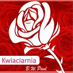 Róża. Kwiaciarnia. Paul W.
