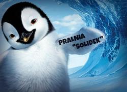 Solidek. Ekologiczna pralnia chemiczna i wodna
