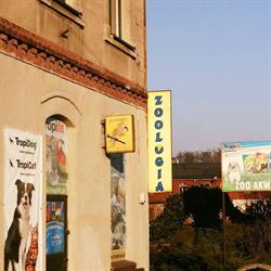 Zoo Akwarystyka Wodny Knurek