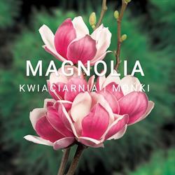 Magnolia. Kwiaciarnia. Omielan Ł.