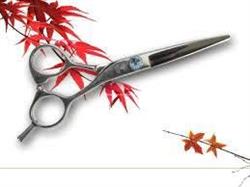 Dama s.c. Salon fryzjerski