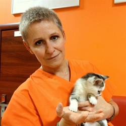 Marczyńska Dagmara. Przychodnia Weterynaryjna