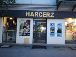 Harcerz