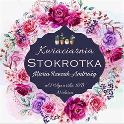 Stokrotka. Kwiaciarnia. Rzezak D.