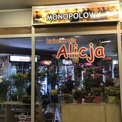 Alicja. Kwiaciarnia