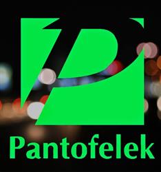 Pantofelek K. Zakrzewska K. Zakrzewski Sp.J