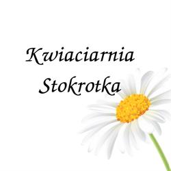 Stokrotka. Kwiaciarnia. Sieiński P.