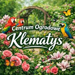 Klematys