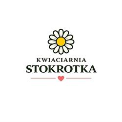 Kwiaciarnia Stokrotka