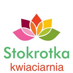 Kwiaciarnia "stokrotka"