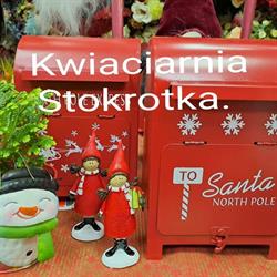 Stokrotka. Kwiaciarnia. Małych e.