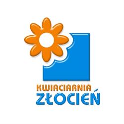 Złocień. Kwiaciarnia. Szeszycka L.