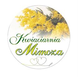 Mimoza. Kwiaciarnia. Golmert E.