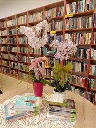Gminna Biblioteka Publiczna w Szczutowie
