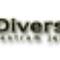 Diverslingva - specjalistyczne kursy językowe we Wrocławiu