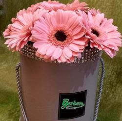 Gerbera. Kwiaciarnia