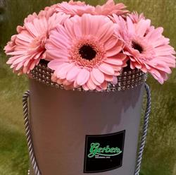 Gerbera. Kwiaciarnia